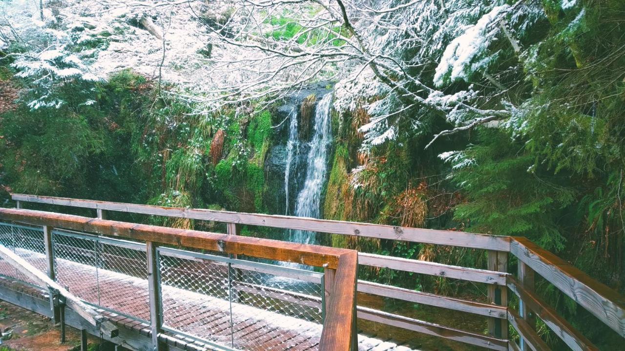 דירות פרוידנשטאדט Wanderlust Panorama - Leben Im Nationalpark מראה חיצוני תמונה